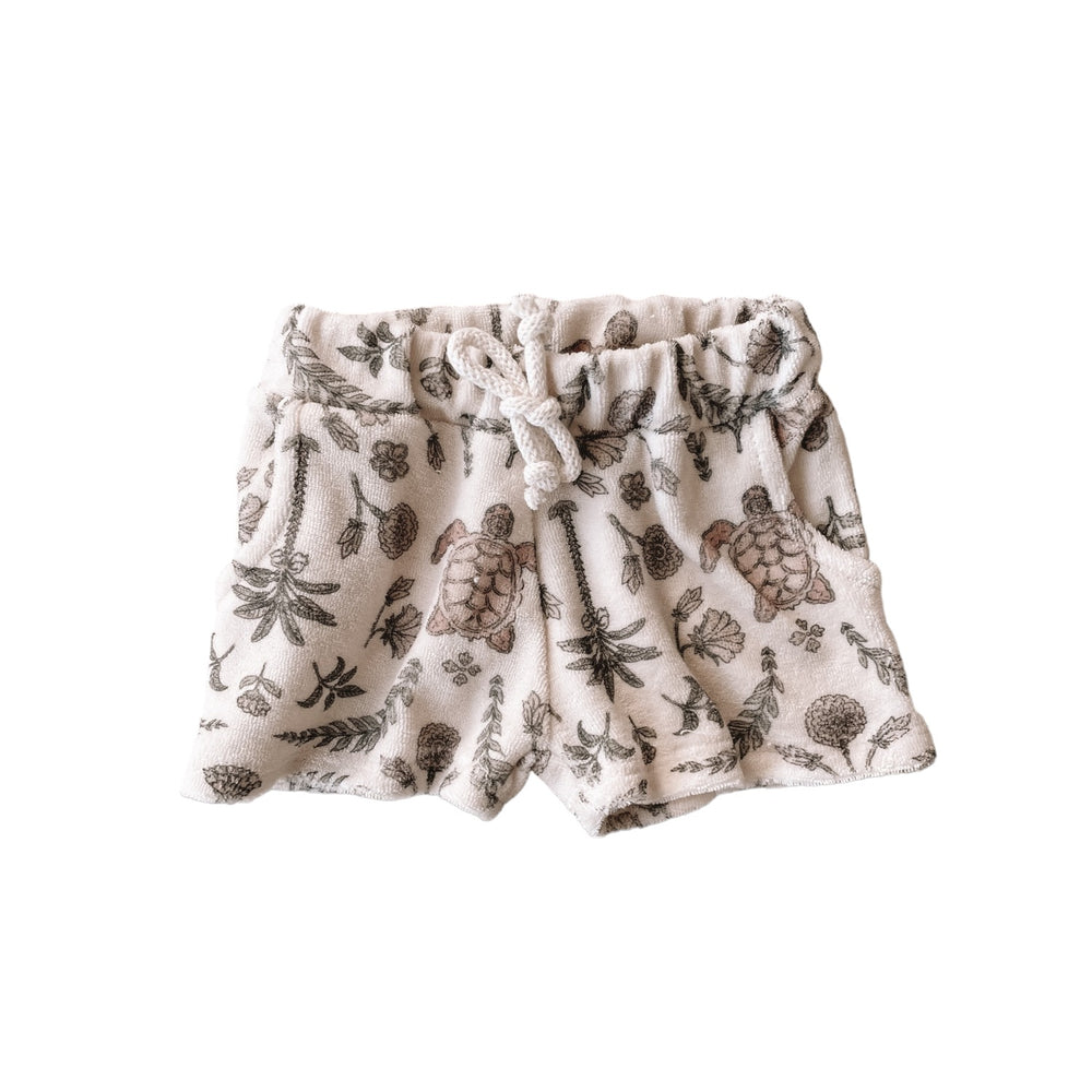 Terry shorts / oriental turtles