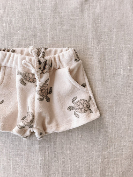 Terry shorts / turtles