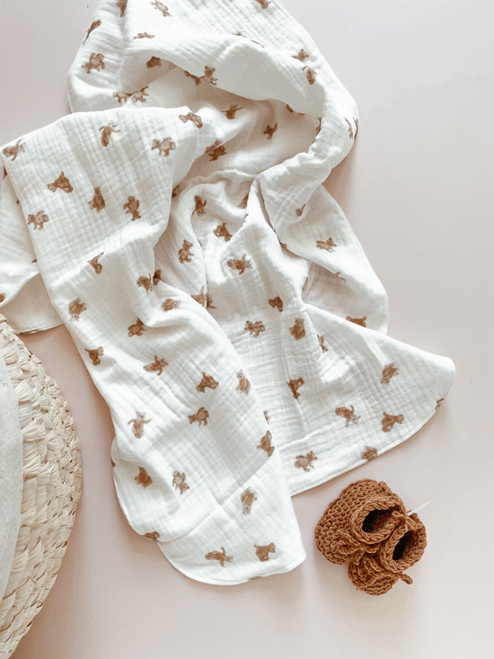 Baby blanket / teddybear